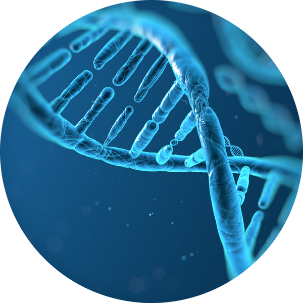 History of cancer facts