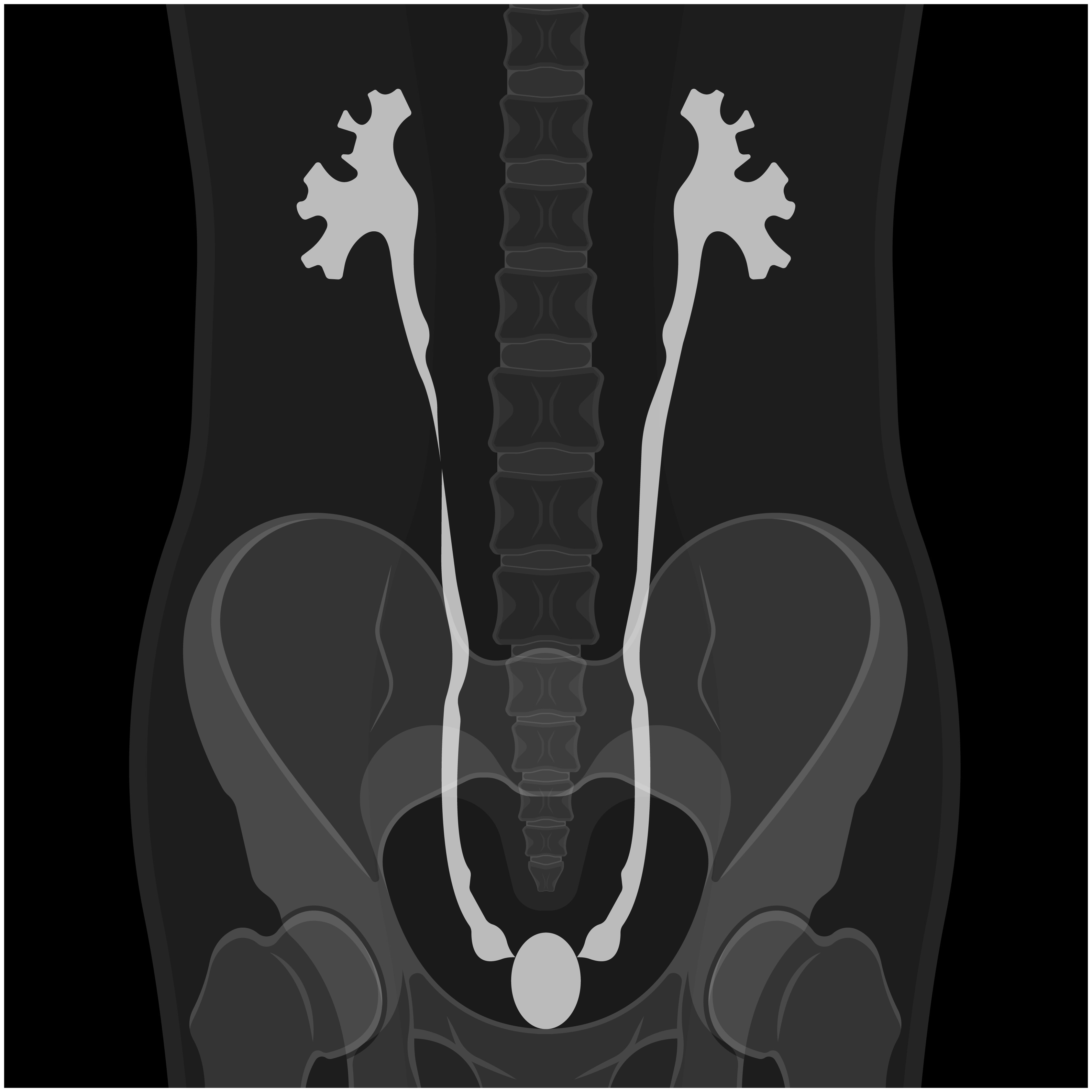 Imagen radiográfica del sistema urinario 
